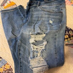 Judy Blue Heavily Distressed Skinny Jeans 20W
